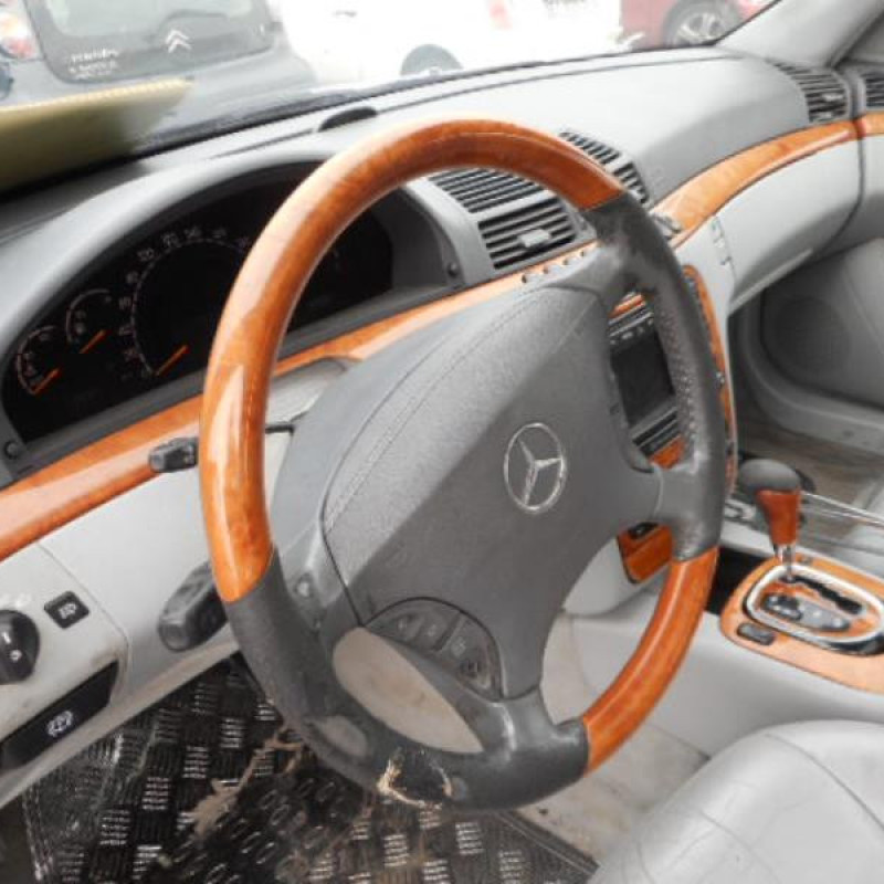 Porte avant gauche MERCEDES CLASSE S 220 Photo n°13
