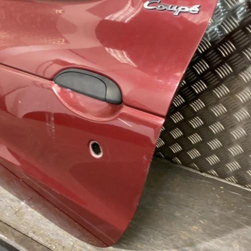 Porte avant gauche RENAULT MEGANE 1 Photo n°3