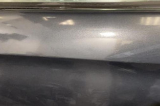 Porte arriere gauche CITROEN XSARA PICASSO