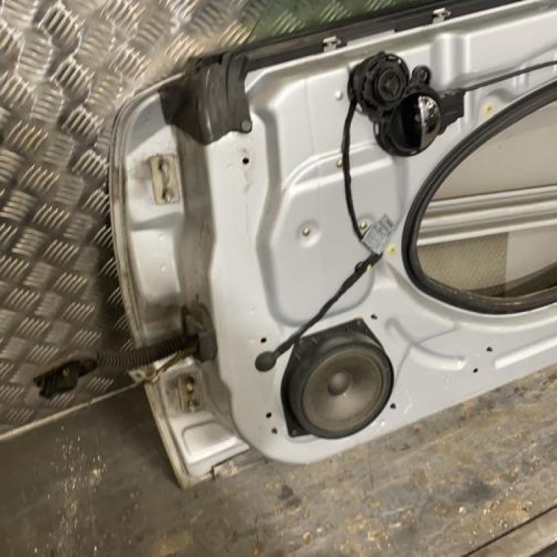Porte avant droit MINI MINI 1 R50/R53 Photo n°5