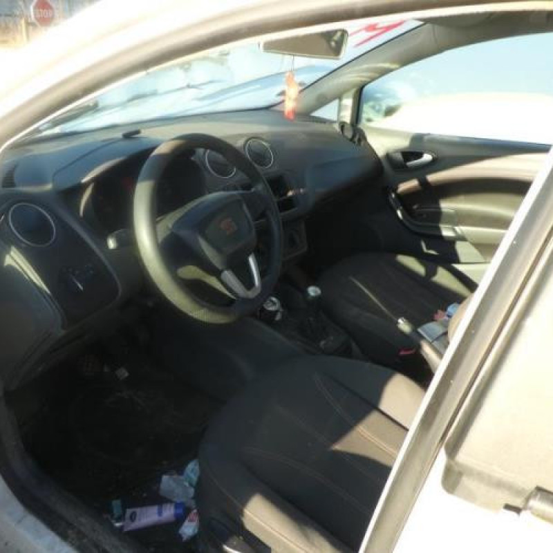 Porte arriere gauche SEAT IBIZA 4 Photo n°10