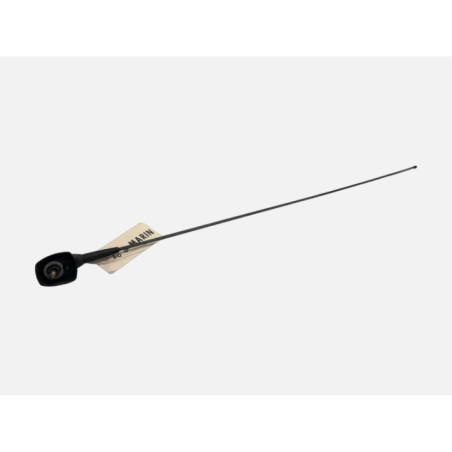 Antenne RENAULT CLIO 2