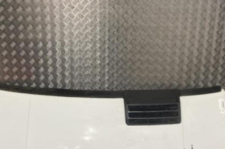 Capot RENAULT TRAFIC 1 Photo n°1