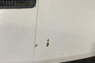 Capot RENAULT TRAFIC 1