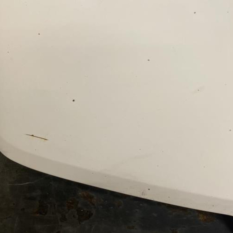 Capot RENAULT TRAFIC 1 Photo n°4