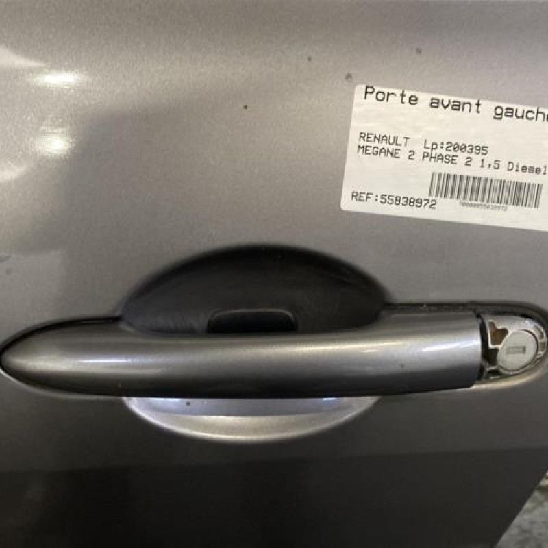 Porte avant gauche RENAULT MEGANE 2 Photo n°4