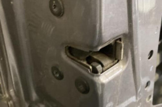 Porte avant gauche RENAULT MEGANE 2