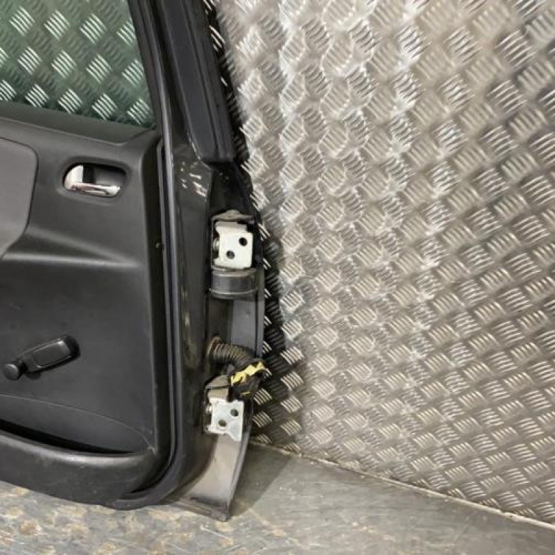 Porte arriere gauche PEUGEOT 207 Photo n°5