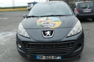 Porte arriere gauche PEUGEOT 207