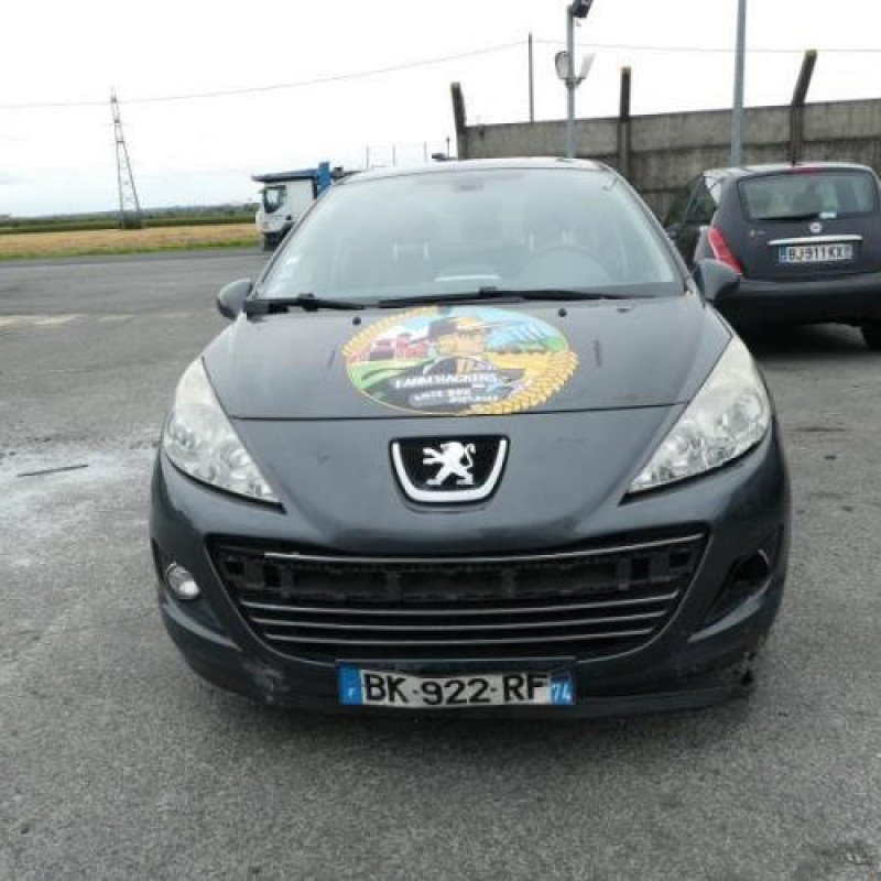 Porte arriere gauche PEUGEOT 207 Photo n°6
