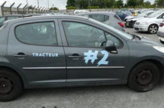 Porte arriere gauche PEUGEOT 207