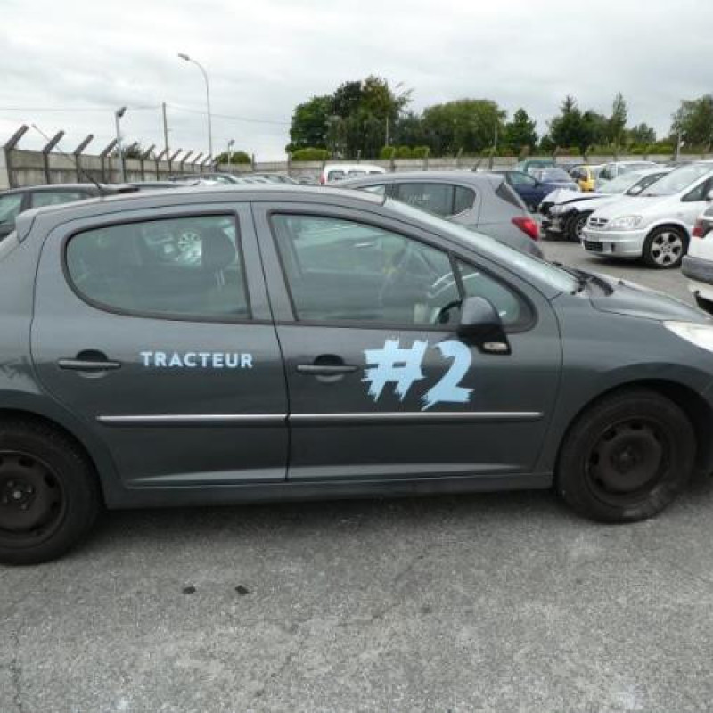 Porte arriere gauche PEUGEOT 207 Photo n°7