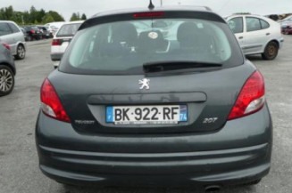 Porte arriere gauche PEUGEOT 207