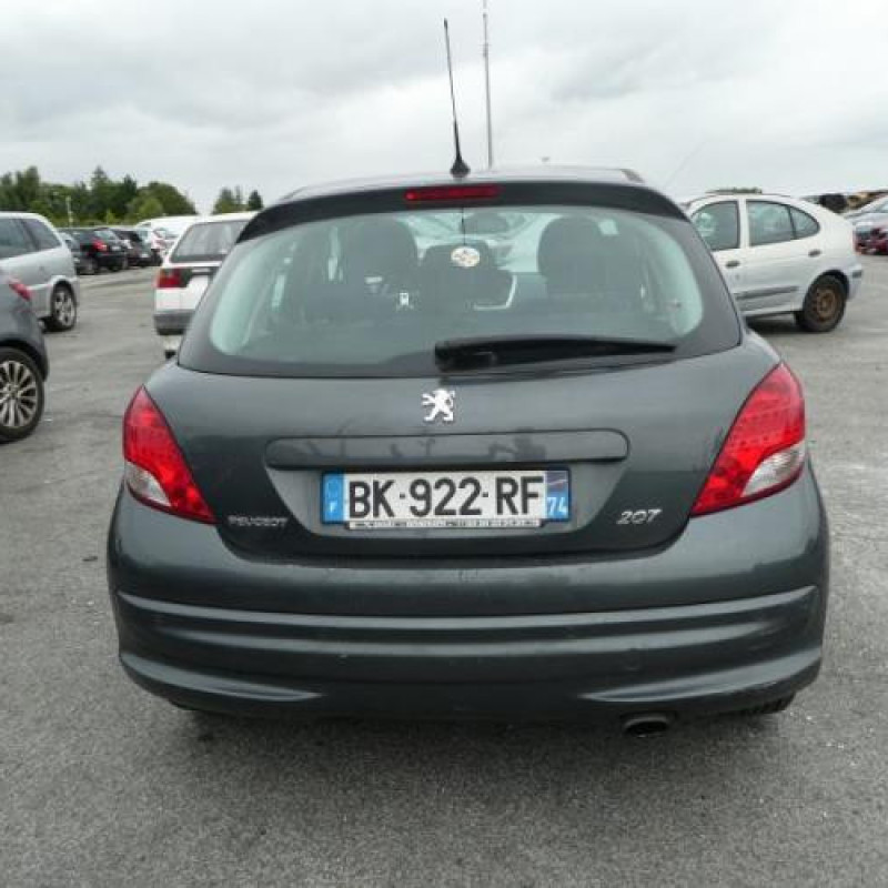 Porte arriere gauche PEUGEOT 207 Photo n°8