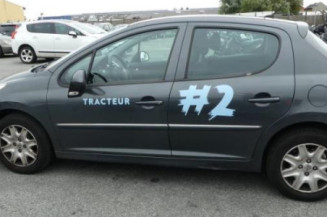Porte arriere gauche PEUGEOT 207