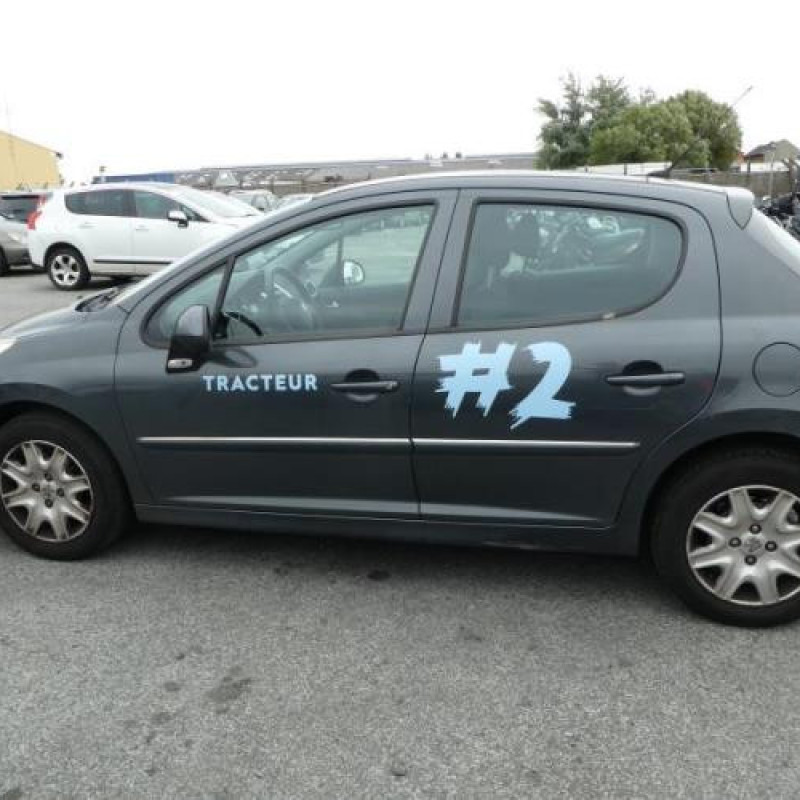Porte arriere gauche PEUGEOT 207 Photo n°9