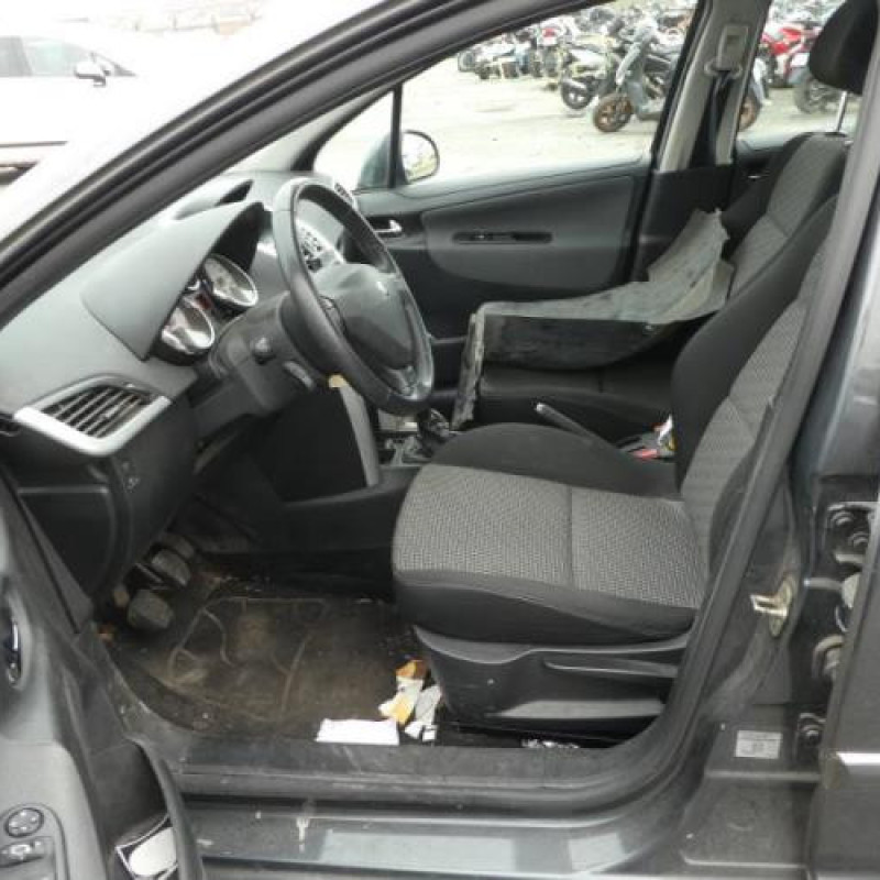 Porte arriere gauche PEUGEOT 207 Photo n°10