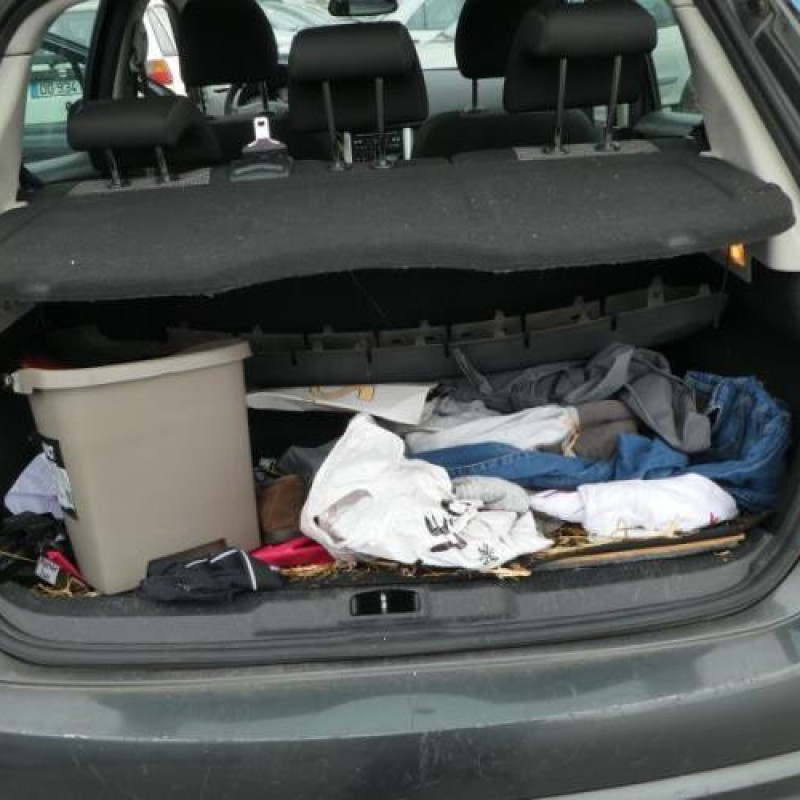 Porte arriere gauche PEUGEOT 207 Photo n°12