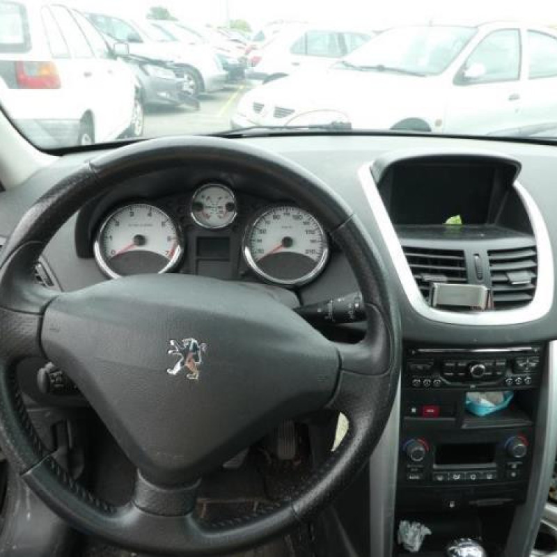 Porte arriere gauche PEUGEOT 207 Photo n°13