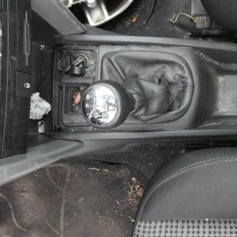 Porte arriere gauche PEUGEOT 207 Photo n°17