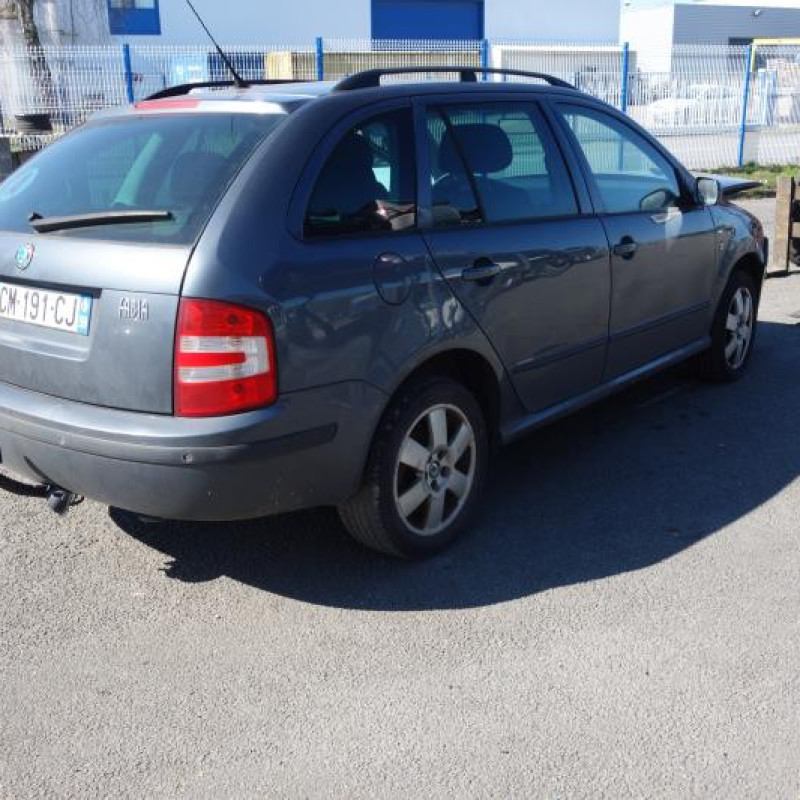 Porte arriere gauche SKODA FABIA 1 Photo n°6