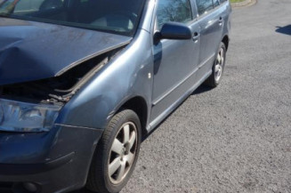 Porte arriere gauche SKODA FABIA 1