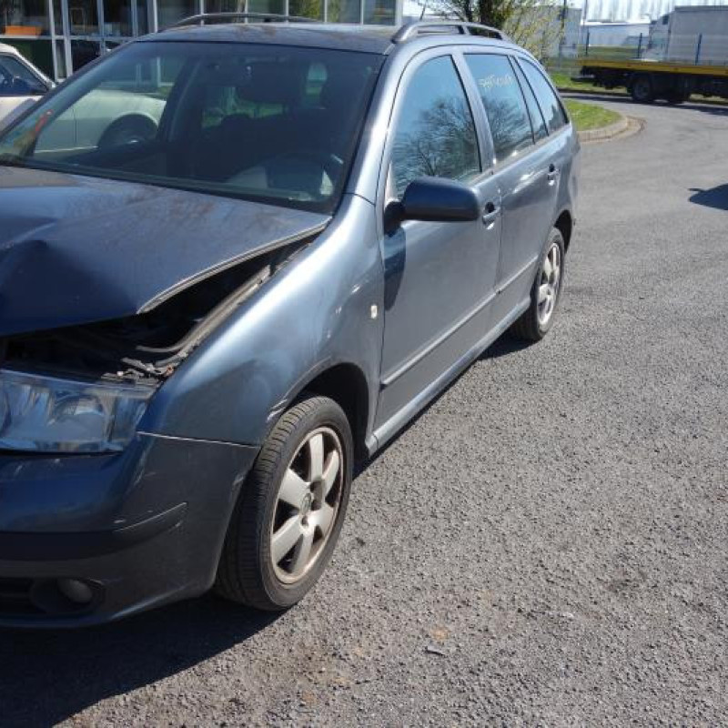 Porte arriere gauche SKODA FABIA 1 Photo n°8