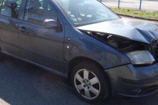 Porte arriere gauche SKODA FABIA 1
