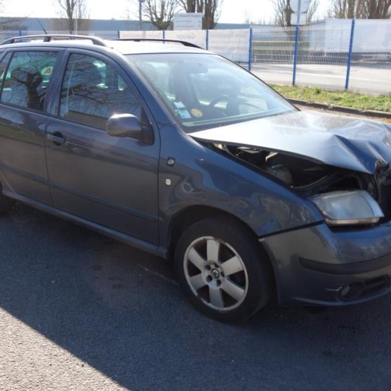 Porte arriere gauche SKODA FABIA 1 Photo n°9