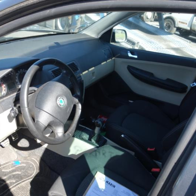 Porte arriere gauche SKODA FABIA 1 Photo n°10