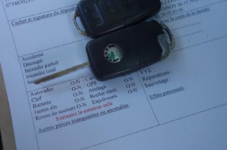 Porte arriere gauche SKODA FABIA 1