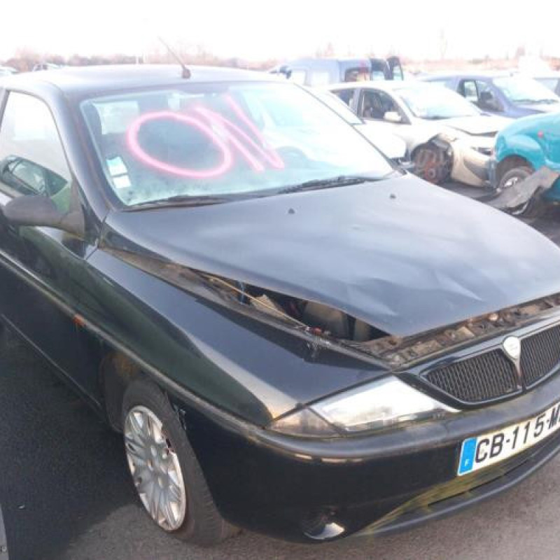 Porte avant gauche LANCIA YPSILON 3 Photo n°9