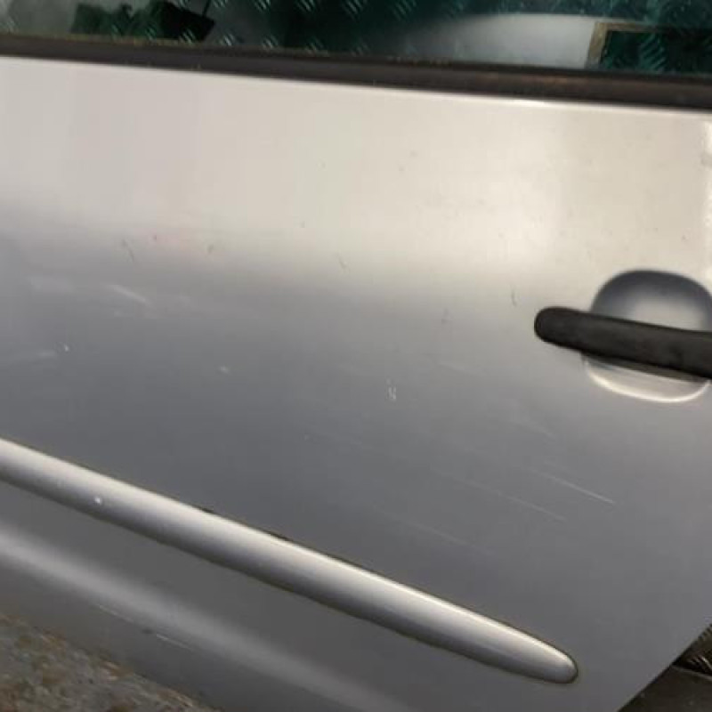 Porte arriere gauche FORD GALAXY 1 Photo n°3