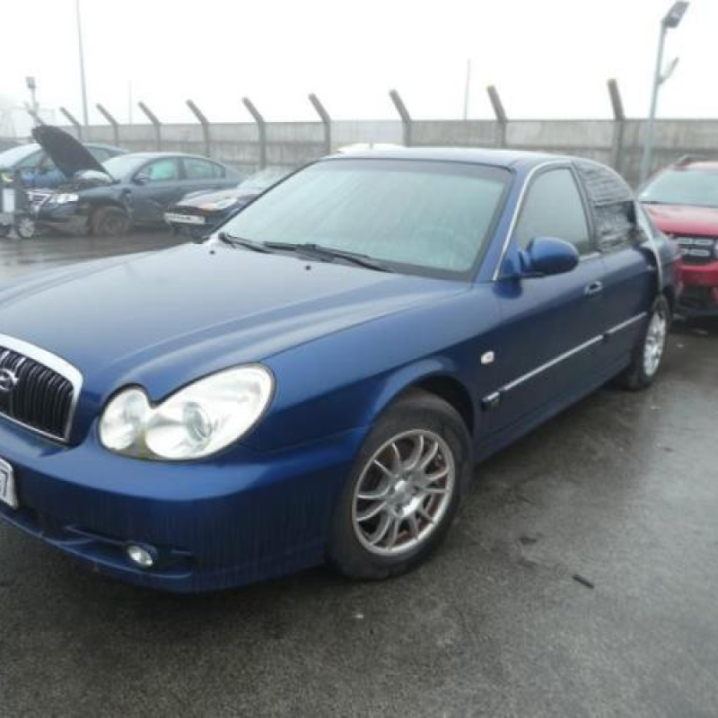 Malle/Hayon arriere HYUNDAI SONATA 4 Photo n°6
