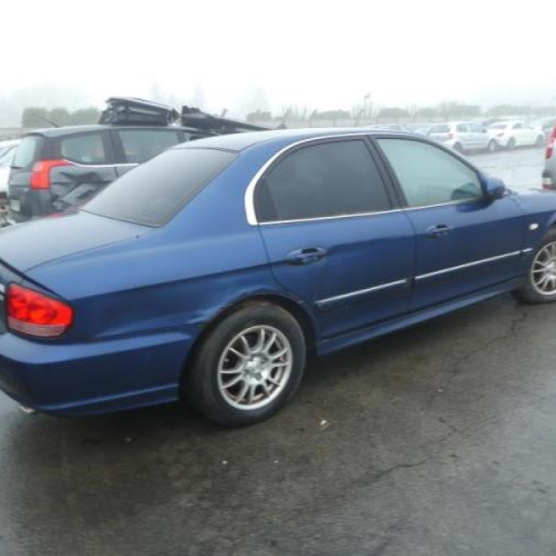 Malle/Hayon arriere HYUNDAI SONATA 4 Photo n°8