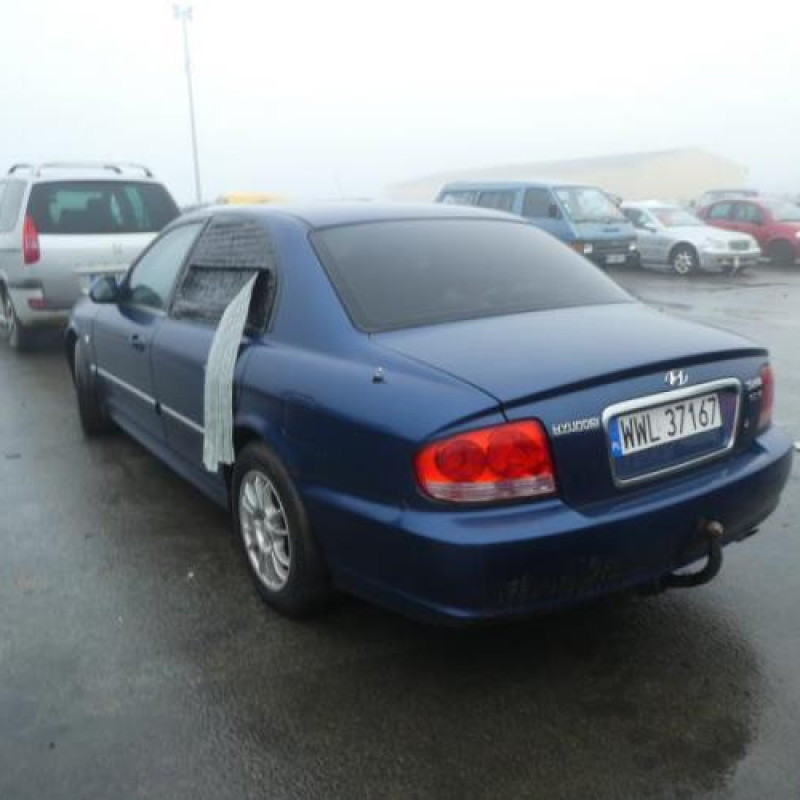 Malle/Hayon arriere HYUNDAI SONATA 4 Photo n°9