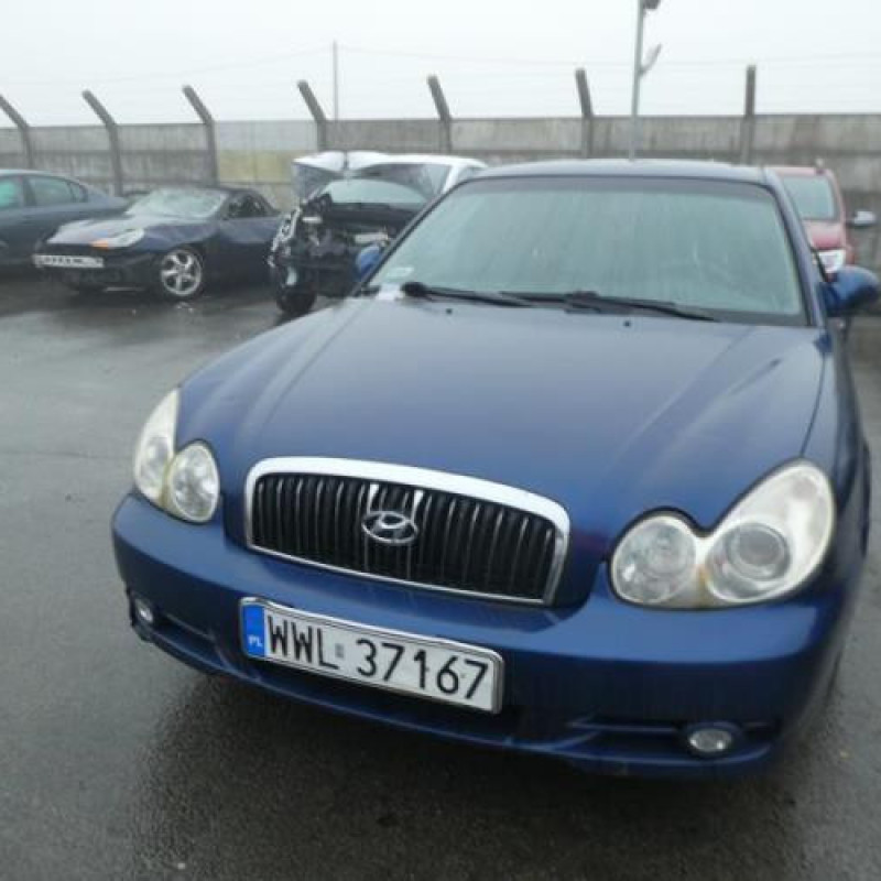 Malle/Hayon arriere HYUNDAI SONATA 4 Photo n°11