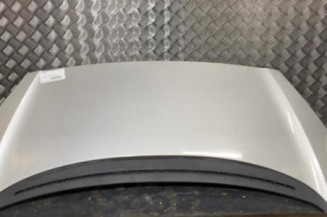 Capot PEUGEOT 1007