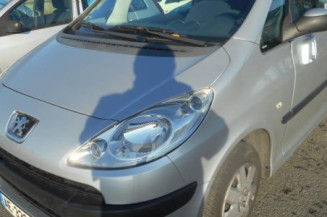 Compteur PEUGEOT 1007