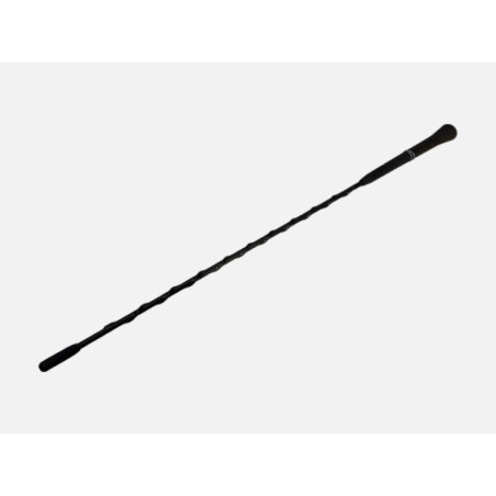 Antenne CITROEN C3 2