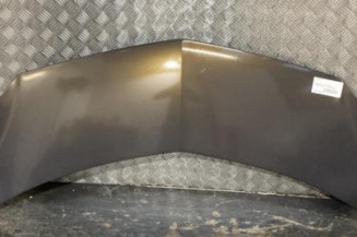 Capot RENAULT MODUS Photo n°1
