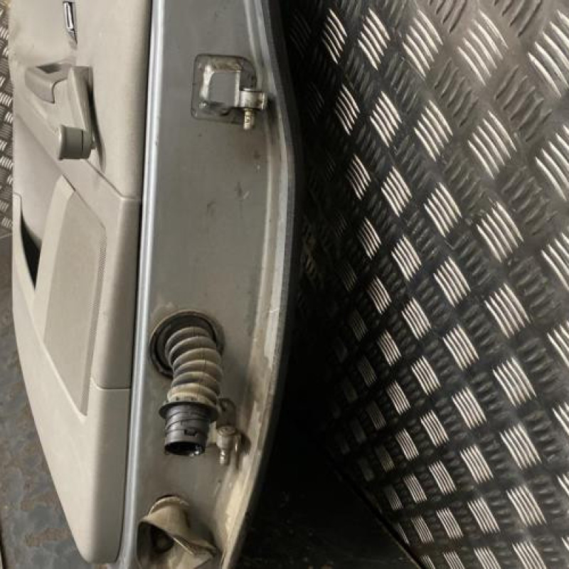 Porte arriere gauche FORD GALAXY 1 Photo n°5