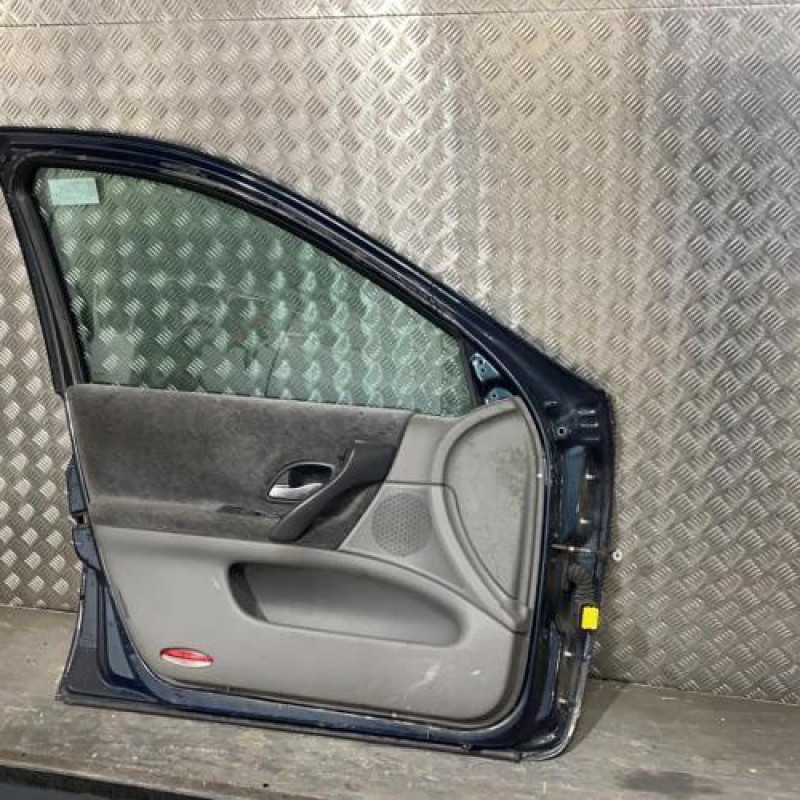 Porte avant gauche RENAULT LAGUNA 2 Photo n°4