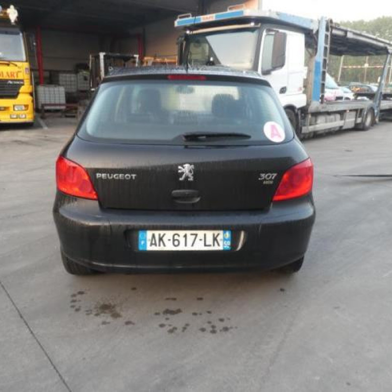 Jante PEUGEOT 307 Photo n°4