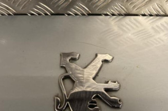 Malle/Hayon arriere PEUGEOT 607