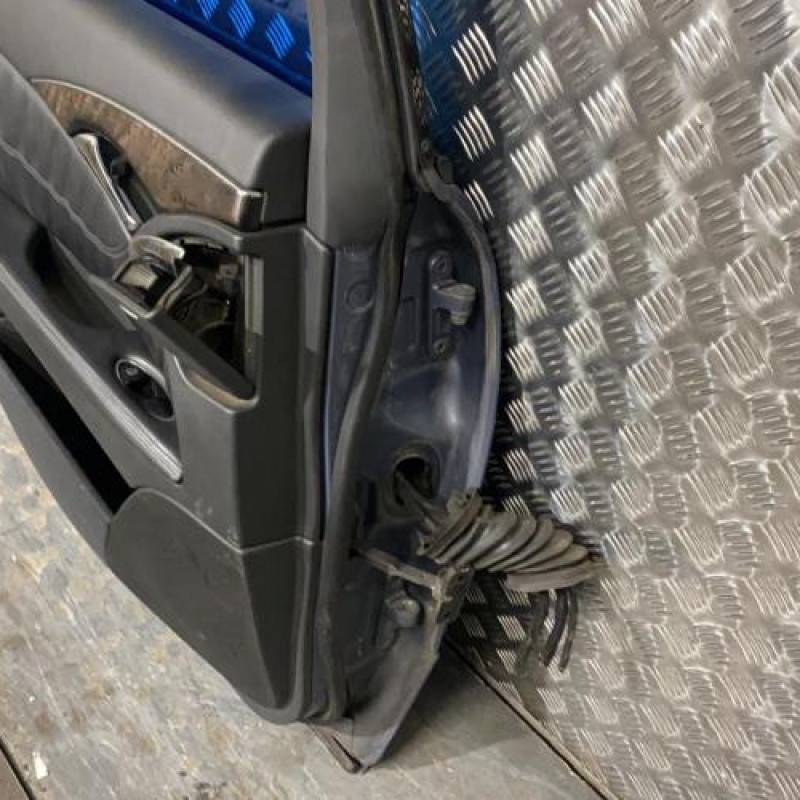 Porte arriere gauche MERCEDES CLASSE E 211 Photo n°6
