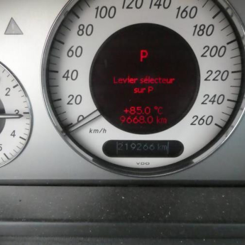 Porte avant droit MERCEDES CLASSE E 211 Photo n°10