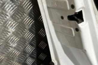 Porte avant gauche PEUGEOT 307