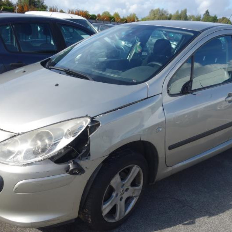 Jante PEUGEOT 307 Photo n°2