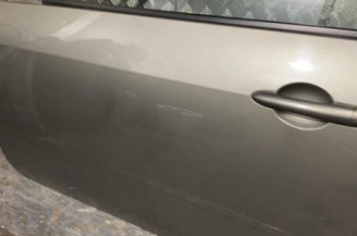 Porte avant gauche NISSAN PRIMERA 4
